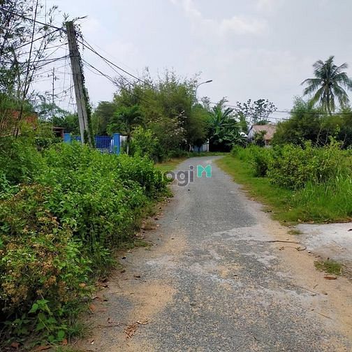 Hình ảnh Bán Đất Thổ Cư Ngay Thị Trấn Bến Cầu, Tây Ninh, Chính Chủ, SHR