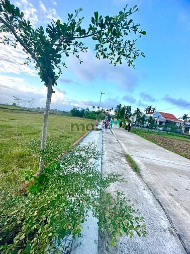 Hình ảnh Đất Điện An gần bv Vĩnh Đức đường rộng 6m sổ hồng đất ở đô thị
