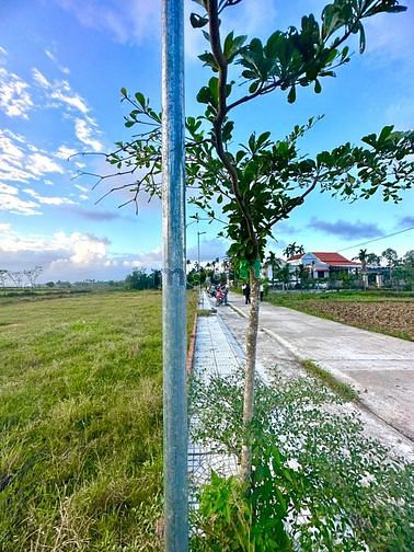 Hình ảnh Đất Điện An gần bv Vĩnh Đức đường rộng 6m sổ hồng đất ở đô thị