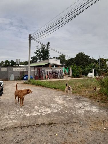 Hình ảnh Ngộp Thật 8xx lô thổ cư cách chợ 600m