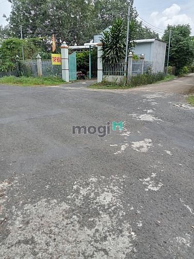 Hình ảnh đất nên bình phước ngay quốc lộ 13,ngan 5m dài 30-40m, đất thổ cư 100m