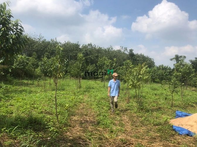 Hình ảnh Bán đất vườn xã hưng lộc thống nhất Đồng Nai
