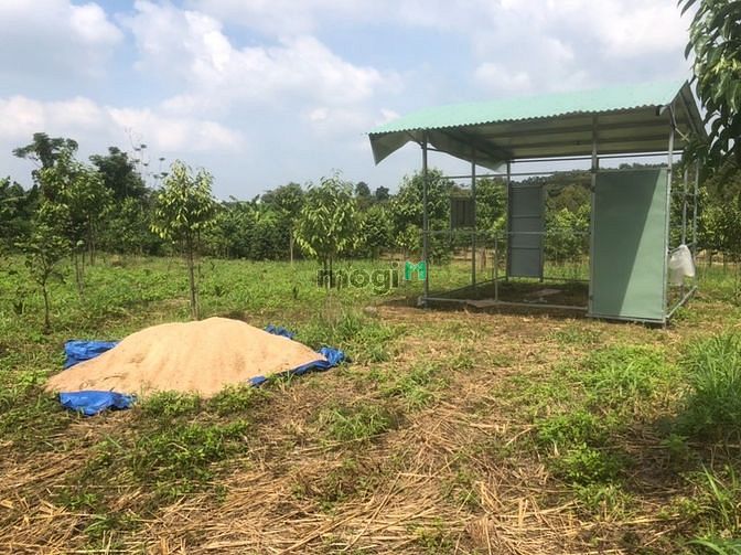 Hình ảnh Bán đất vườn xã hưng lộc thống nhất Đồng Nai
