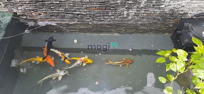 Hình ảnh Bán nhà KDC Nam Long 7 Tỷ như hình