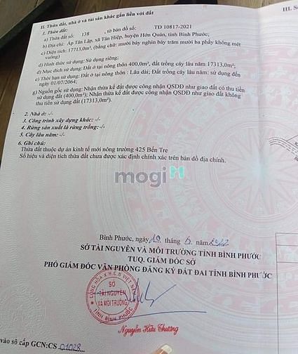 Hình ảnh 🎉🎉 Bán 1,7 hecta đất cao su Hớn Quản giá Rẻ nhất thị trường