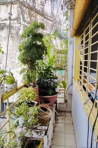 Hình ảnh Q3 Trần Văn Đang, 55m2, 3Tầng, 4PN. Chỉ 5tyr5.