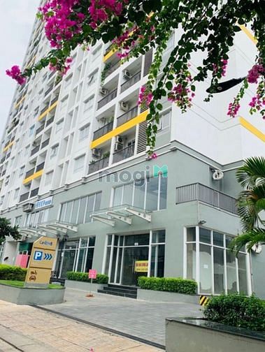 Hình ảnh ĐẦU TƯ THUA LỖ! Bán CH Carillon 5 Tân Phú, tầng trung 2tỷ260