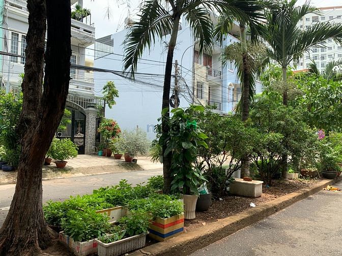 Hình ảnh Bán đất khu dân cư 10 mẫu tại quận 2,100m2,200m2,155m2