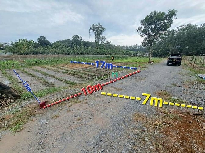 Hình ảnh ĐẤT Hoà Lợi gần THÀNH PHỐ MỚI BÌNH DƯƠNG