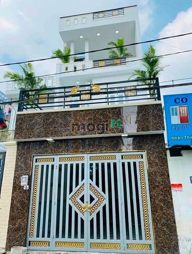 Hình ảnh ĐẸP NHẤT KHU BÀU CÁT Tân Bình 59m2 Có SHR
