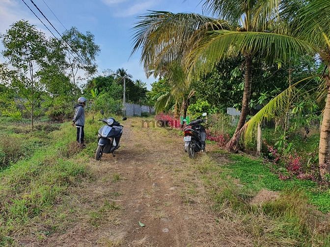 Hình ảnh Nhà còn miếng đất bán nốt cho nó hết - giá thương lượng