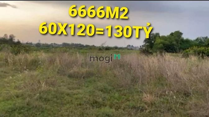 Hình ảnh ( CỰC SỐC ) Nhỉnh 10TR/m2 ĐẤT mặt tiền TTN7 Tân Thới Nhất Quận 12 TP.H