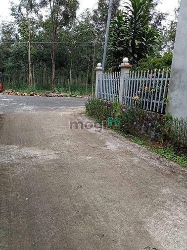 Hình ảnh đất nên bình phước ngay quốc lộ 13,ngan 5m dài 30-40m, đất thổ cư 100m