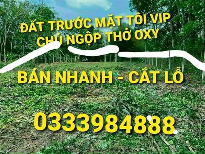 Hình ảnh Ngộp - Chủ thở oxy xả 8 lô 5x27=2,15 tỷ Bình Mỹ Củ Chi TPHCM