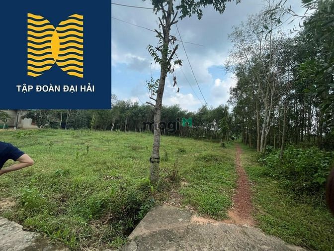 Hình ảnh ĐẤT nền phân lô hải trường hải lăng 110m2 giá Trang MB66.COM Chính Thức - MB 66 Uy Tín