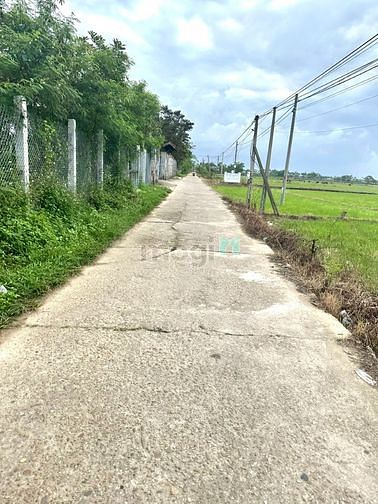 Hình ảnh Bạn biết tin gì chưa? Đất Điện Hồng giá cả cực kỳ rẻ!