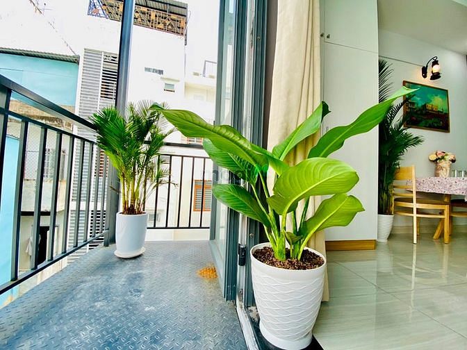 Hình ảnh Hệ thống Trang Chủ MB66.COM / Đăng Ký Tặng 66K 1PN - 2PN_Tách bếp_Ban công_Gần chợ Tân Định_Quận 1