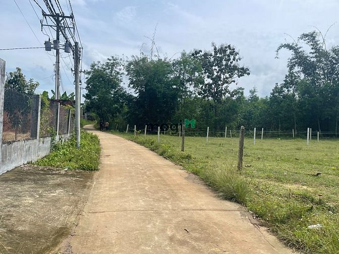 Hình ảnh đất chính chủ cần bán gấp để trả nợ