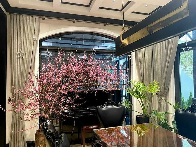 Hình ảnh Biệt thự 400m2, vị trí không 1 lỗi, 230tr/m2