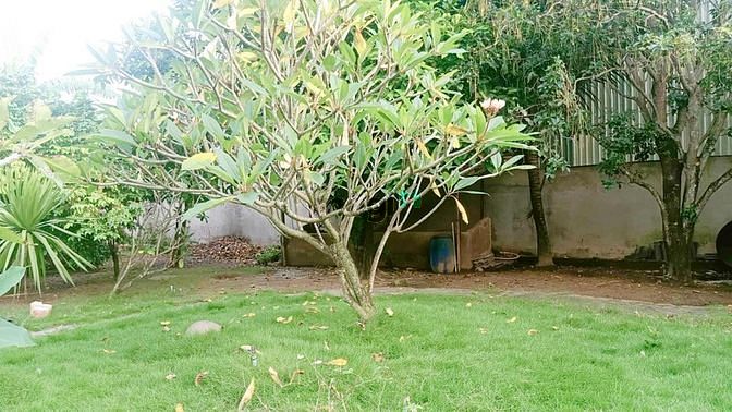 Hình ảnh Bán gấp lô đất MT Long Phước Q.9,2200m2,35x63m,Nhĩnh 30tr/m2, Ngay phi