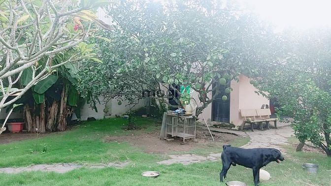 Hình ảnh Bán gấp lô đất MT Long Phước Q.9,2200m2,35x63m,Nhĩnh 30tr/m2, Ngay phi