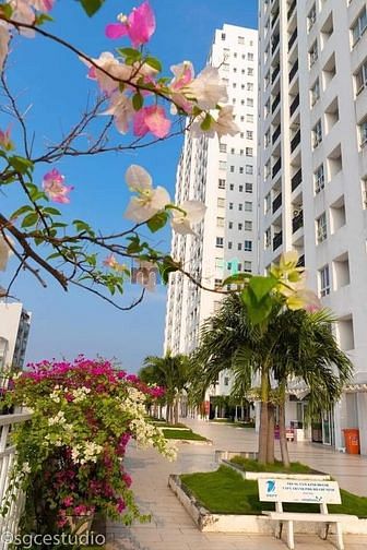 Hình ảnh Mb6623 nạp rút nhanh chóng chung cư 4s Linh Đông, 72m, nhỉnh 2 tỷ