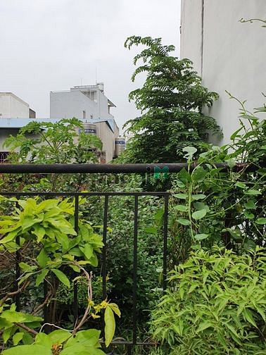 Hình ảnh Đất Ngang 4mx18m, 3.5Tỷ, Tân Chánh Hiệp03, Quận 12, Hẻm Xe Hơi Tới Đất