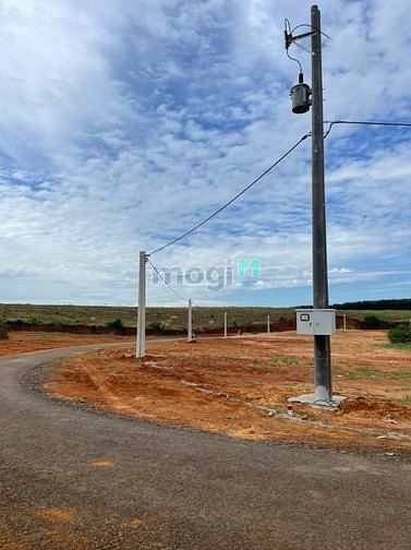Hình ảnh Cần ra gấp lô đất mt đường nhựa 12m , sổ sẵn , 100m2 thổ cư