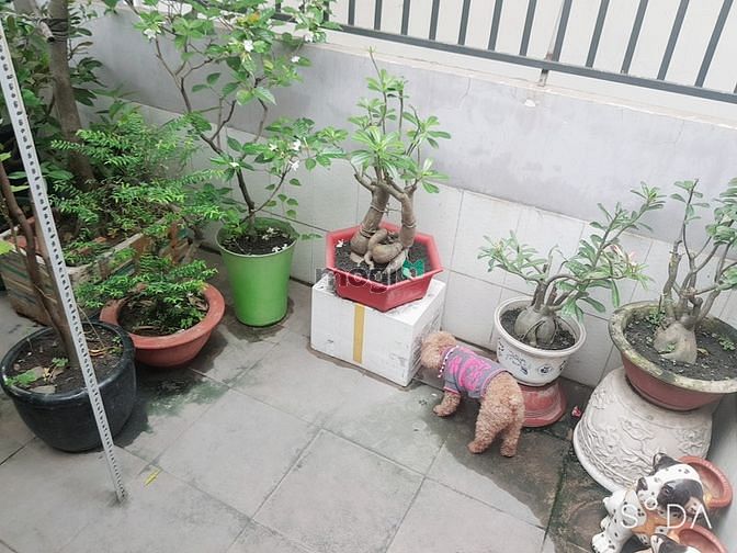 Hình ảnh Bán nhà hẻm HL 80, Bình hưng hòa B, Bình tân, Cực đẹp 1t2l