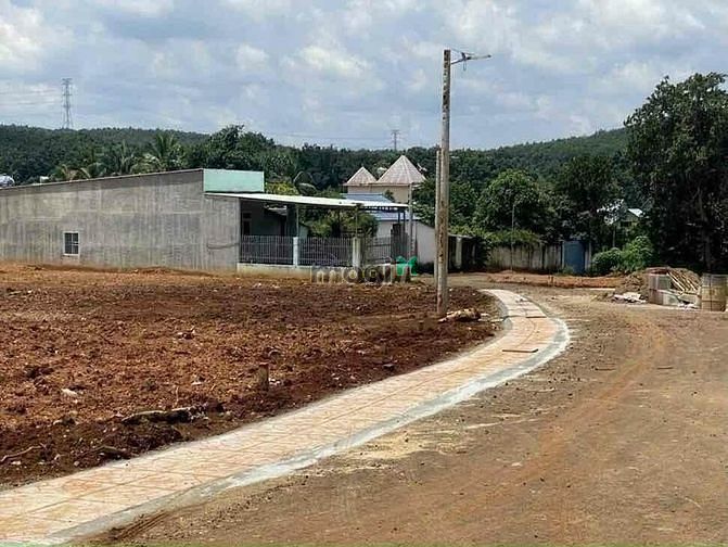 Hình ảnh Cần ra gấp lô đất mt đường nhựa 12m , sổ sẵn , 100m2 thổ cư
