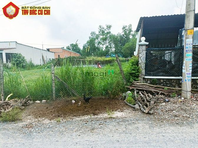 Hình ảnh Đất 1/ Huỳnh Thị Mua - 1011m2 - 20x54 - 300m2 thổ cư - xã Phước Thạnh