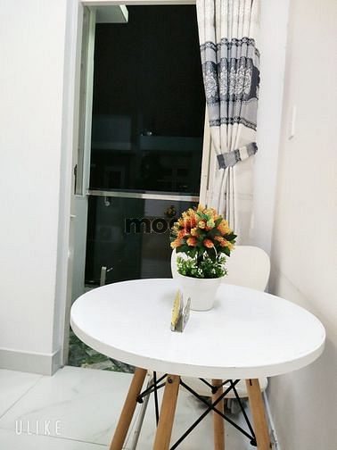 Hình ảnh Khai Trương CHDV Mini Full Nội Thất