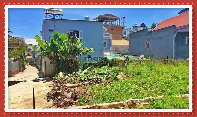 Hình ảnh 🏩 Bán Đất Liên Kế Mai Hắc Đế - Phường 6 - 100 m2 SRXD - 4.7 Tỷ Chốt
