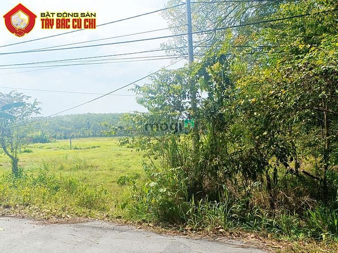 Hình ảnh Bán đất đường Gót Chàng - 1266m2 - 16x81 - 150m2 thổ cư - xã Nhuận Đức