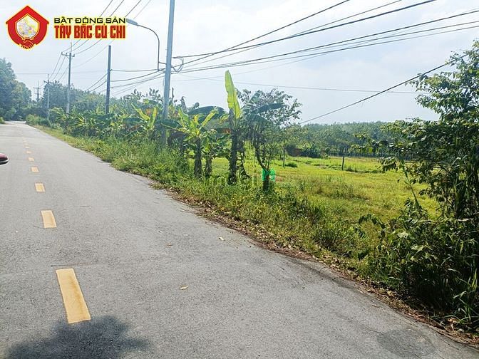 Hình ảnh Bán đất đường Gót Chàng - 1266m2 - 16x81 - 150m2 thổ cư - xã Nhuận Đức