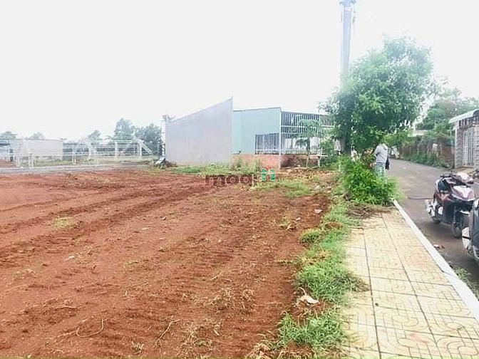 Hình ảnh Thua cá độ bán gấp miếng đất 565m2 / giá 269 triệu
