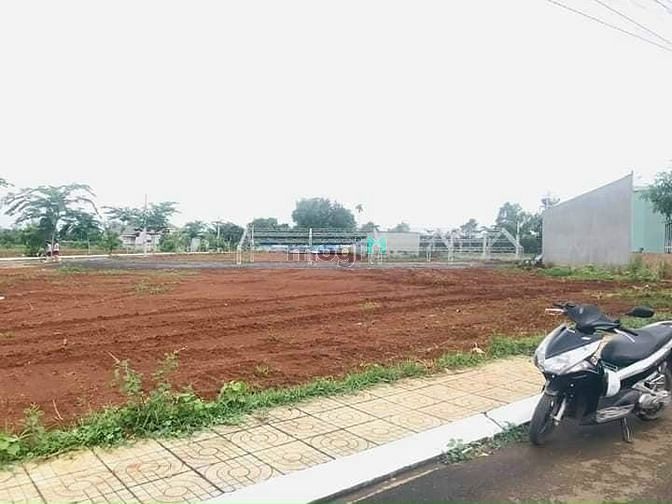 Hình ảnh Thua cá độ bán gấp miếng đất 565m2 / giá 269 triệu
