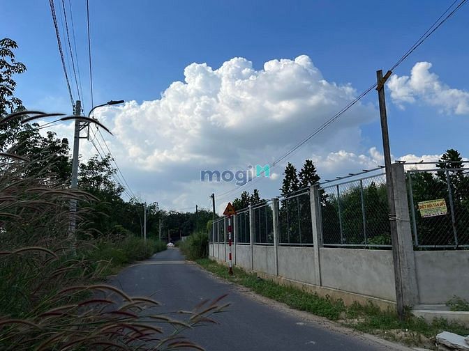 Hình ảnh Đất Tân định -Bến Cát -Bình Dương bán gấp giá ngộp trong tháng chạy nợ