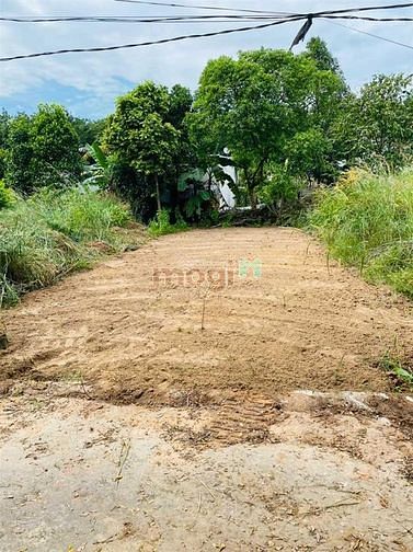Hình ảnh GĐ cần bán lô đất 100m2(5x20m) dân đông, gần chợ tiện kinh doanh.