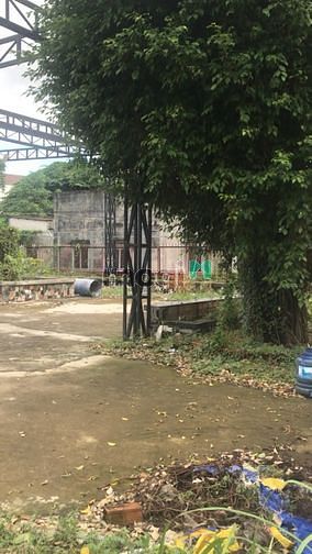 Hình ảnh 🍔Mặt bằng 500m2 Quận 2, đường rộng, giá tốt chỉ 30tr/th