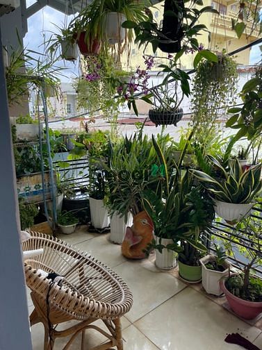 Hình ảnh Nhà đẹp Q.Bình Tân Mã Lò, 32m2, 3 tầng, nhỉnh 3 tỷ