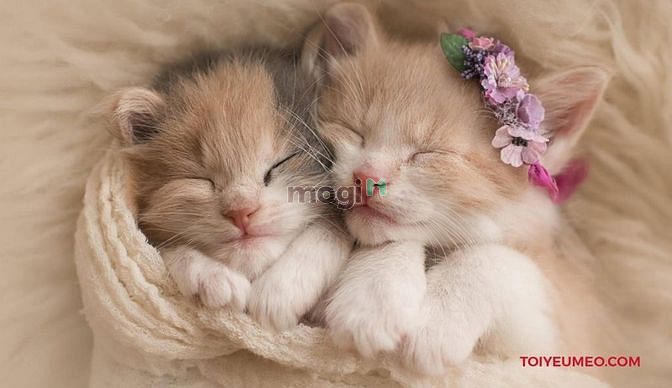 Hình ảnh Nhà ở Mb6626 đăng ký ngay Bình Dương giá rẻ