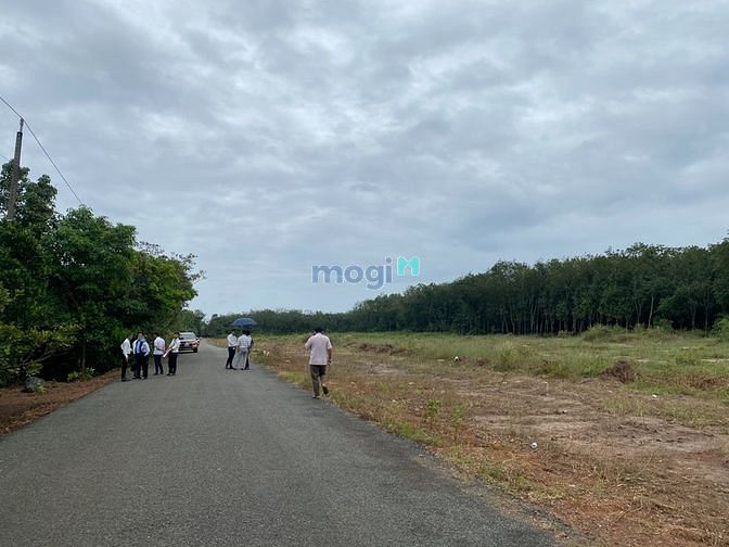 Hình ảnh 𝐁𝐃𝐒 𝐁ì𝐧𝐡 𝐏𝐡ướ𝐜 𝐂ầ𝐧 𝐁á𝐧 𝐍𝐠𝐚𝐲 𝐌𝐓 Đườ𝐧𝐠 𝐍𝐡ự𝐚 32m