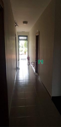 Hình ảnh 💢CĂN HỘ Studio SIÊU Hạt Dẻ nằm ngay Trung Tâm BÌNH THẠNH