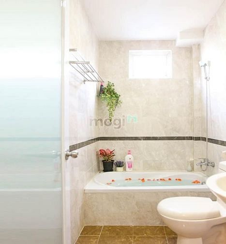 Hình ảnh Mb6623 nạp rút nhanh chóng studio full cửa 30m2 tại Lê Thánh Tôn