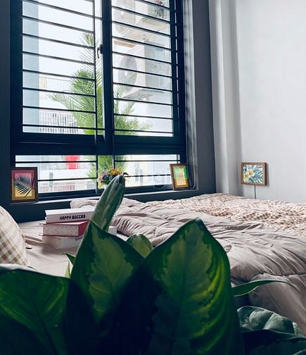 Hình ảnh Cho thuê CHDV 2PN,50m2 , Đinh Công Tráng, Quận 1.