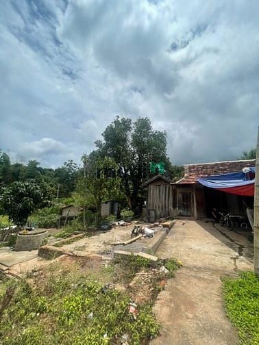 Hình ảnh Bán Mảnh đất 2100m2 tại Mộc Châu ,giá chỉ hơn 800 ngàn/1m2