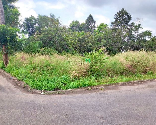 Hình ảnh Chỉ hơn 1 tỷ, sở hữu ngay lô đất ĐẸP, sổ riêng, thổ cư, P. Tam Phước