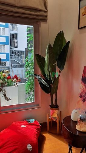 Hình ảnh Bán nhà hẻm xe hơi Lê Văn Sỹ, P13, Q3 (3,8 x 24m) 3 lầu, sân thượng