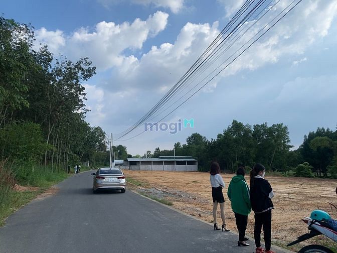 Hình ảnh MB66 là nhà cái uy tín hàng đầu tại Việt Nam cần thanh lí gấp lô đất ngay tân định bến cát